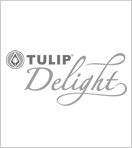ทิวลิปดีไลท์ Tulip Delight